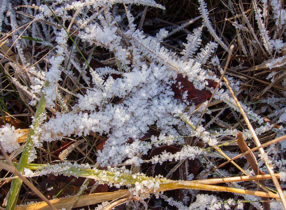 Dec. 12, 2013 - Parker River National Wildlife Refuge, Plum Island, Massachusetts.