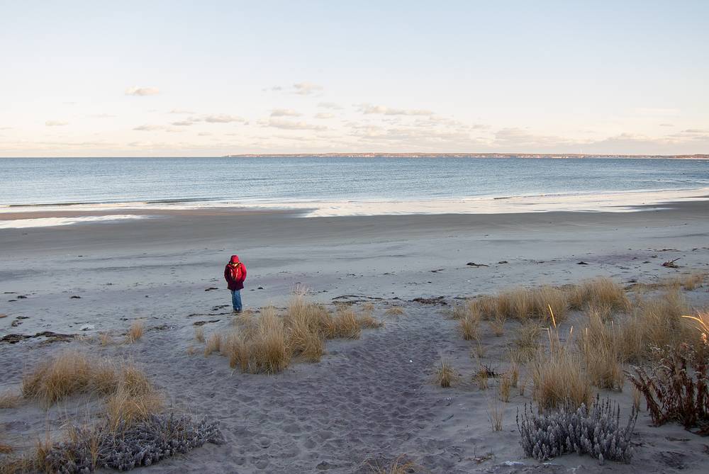 Joyce.<br />Dec. 12, 2013 - Parker River National Wildlife Refuge, Plum Island, Massachusetts.