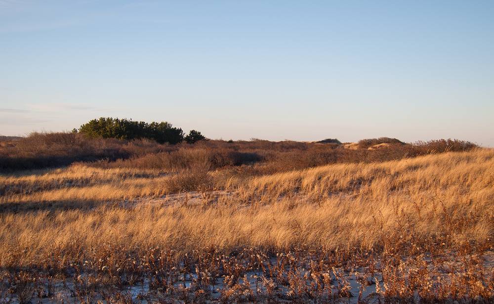 Dec. 12, 2013 - Parker River National Wildlife Refuge, Plum Island, Massachusetts.
