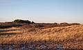 Dec. 12, 2013 - Parker River National Wildlife Refuge, Plum Island, Massachusetts.