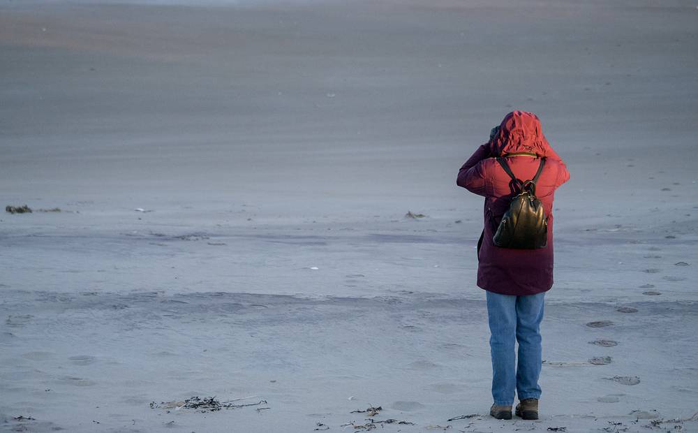 Joyce.<br />Dec. 12, 2013 - Parker River National Wildlife Refuge, Plum Island, Massachusetts.