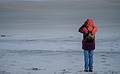 Joyce.<br />Dec. 12, 2013 - Parker River National Wildlife Refuge, Plum Island, Massachusetts.