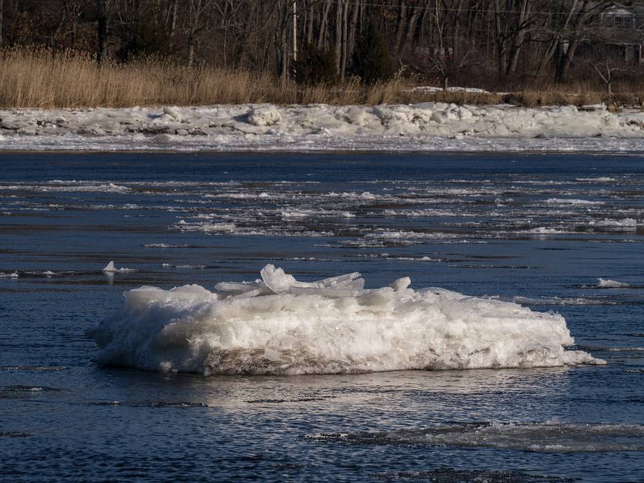 Our own icebergs (can't compare to the one we saw in Newfoundland).<br />A walk with Joyce looking for bald eagles.<br />Jan. 9, 2014 - Deer Island, Amesbury, Massachusetts.