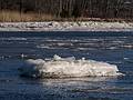 Our own icebergs (can't compare to the one we saw in Newfoundland).<br />A walk with Joyce looking for bald eagles.<br />Jan. 9, 2014 - Deer Island, Amesbury, Massachusetts.