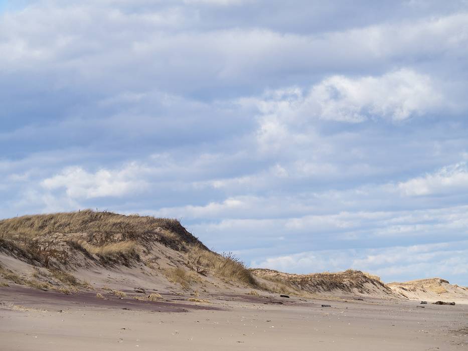 A walk with Joyce from parking lot #3.<br />Jan. 12, 2014 - Parker River National Wildlife Refuge, Plum Island, Massachusetts.