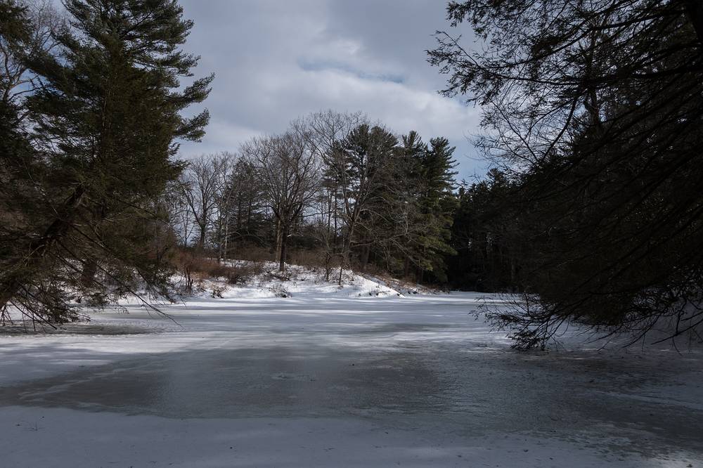 A walk in the park with Joyce.<br />Feb. 25, 2014 - Maudslay State Park, Newburyport, Massachusetts.