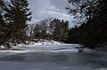 A walk in the park with Joyce.<br />Feb. 25, 2014 - Maudslay State Park, Newburyport, Massachusetts.