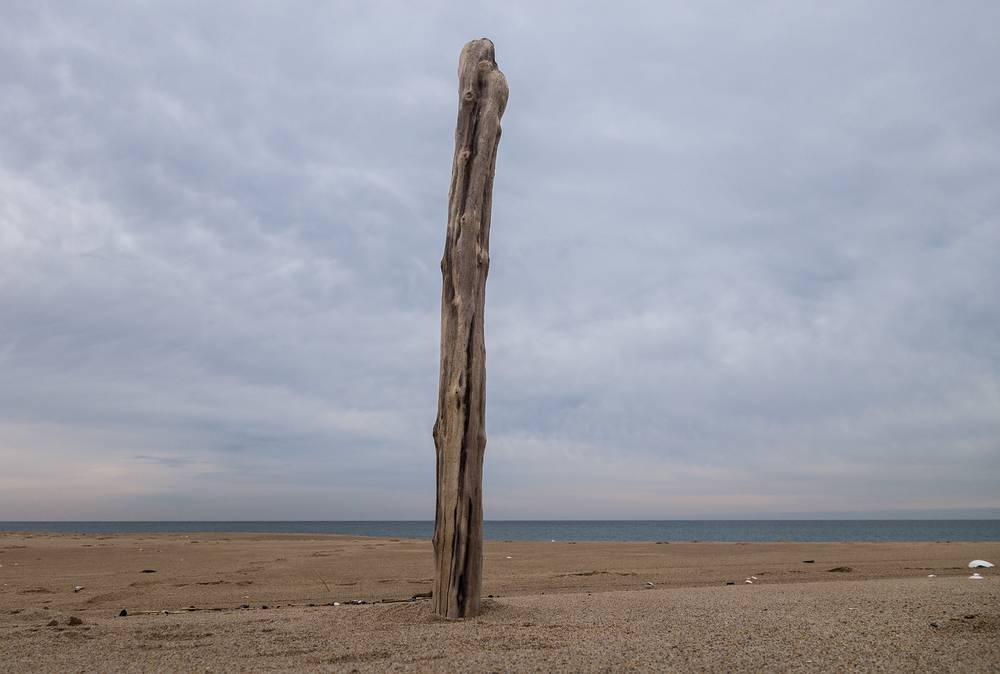 A stick in the beach.<br />A walk with Joyce.<br />March 1, 2014 - Parker River National Wildlife Refuge, Plum Island, Massachusetts.
