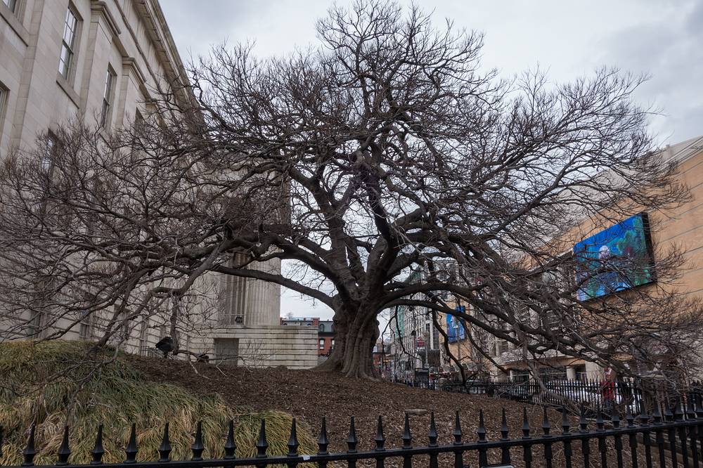March 28, 2014 - Washington, DC.