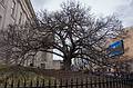March 28, 2014 - Washington, DC.
