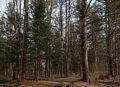 April 23, 2014 - Merrimac, Massachusetts.