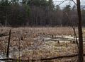 April 23, 2014 - Merrimac, Massachusetts.