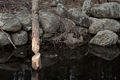 April 23, 2014 - Merrimac, Massachusetts.