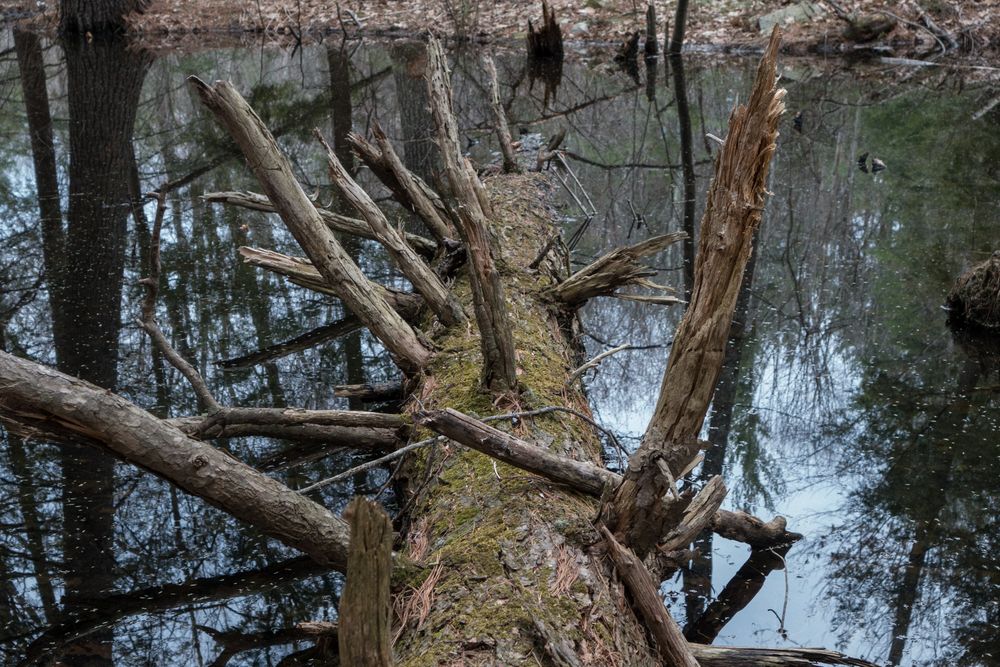 April 23, 2014 - Merrimac, Massachusetts.