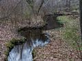 Off of the McLaren Trail.<br />April 28, 2014 - Merrimac, Massachusetts.