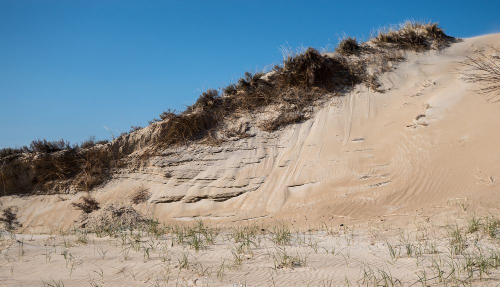 A walk along the perimeter of the reservation.<br />May 7, 2014 - Sandy Point State Reservation, Plum Island, Massachusetts.