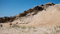 A walk along the perimeter of the reservation.<br />May 7, 2014 - Sandy Point State Reservation, Plum Island, Massachusetts.