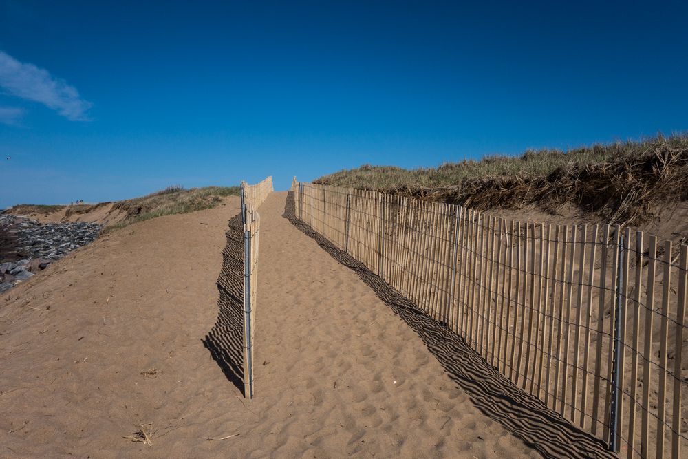 A walk with Joyce.<br />May 11, 2014 - North End of Plum Island, Massachusetts.