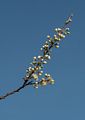 May 12, 2014 - Sandy Point State Reservation, Plum Island, Massachusetts.