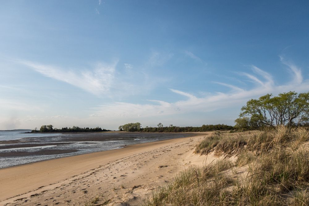 Ipswich Bluff in the distance.<br />May 12, 2014 - Sandy Point State Reservation, Plum Island, Massachusetts.