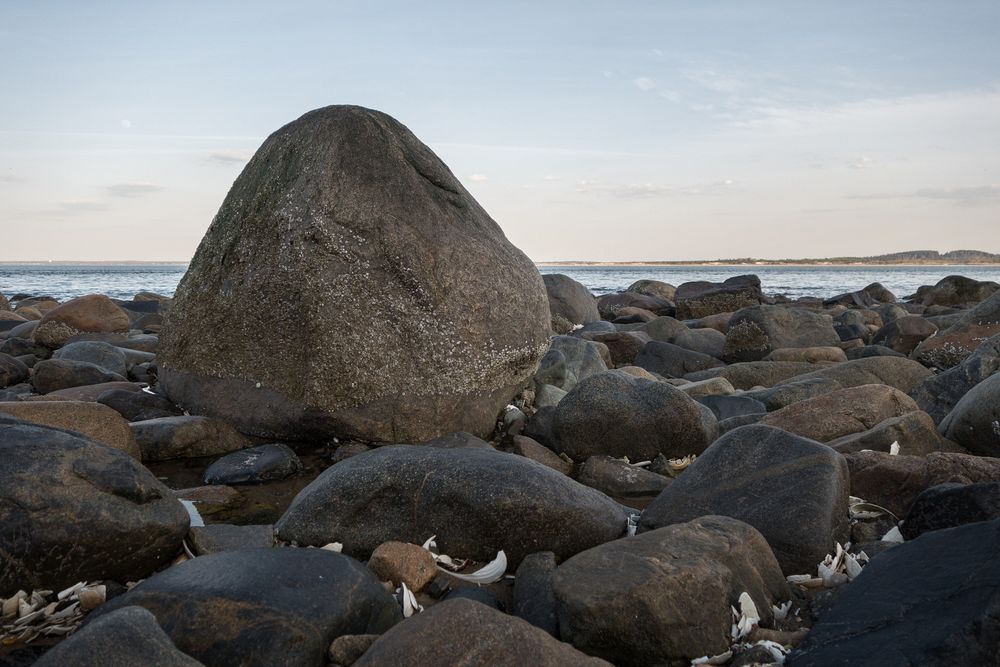 Visit to the usual rock. Lots of sand washed away.<br />May 12, 2014 - Sandy Point State Reservation, Plum Island, Massachusetts.