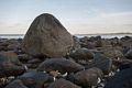 Visit to the usual rock. Lots of sand washed away.<br />May 12, 2014 - Sandy Point State Reservation, Plum Island, Massachusetts.