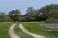 May 15, 2014 - Parker River National Wildlife Refuge, Plum Island, Massachusetts.