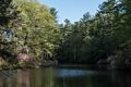 A walk in the park with Joyce.<br />May 17, 2014 - Maudslay State Park, Newburyport, Massachusetts.