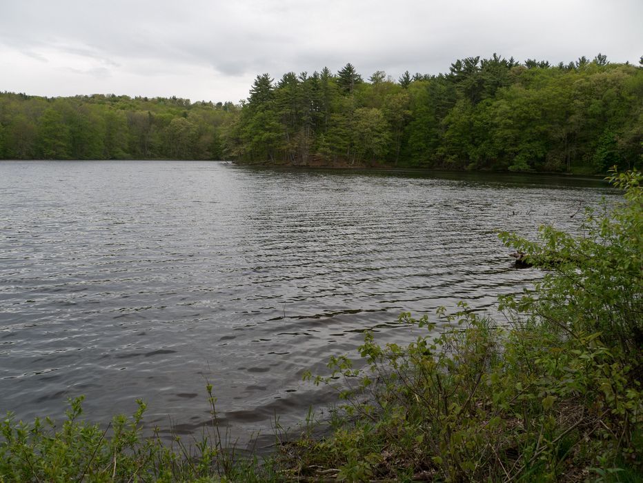 A walk with Lance on trails around the reservoir.<br />May 19, 2014 - Millvale Reservoir, Haverhill, Massachusetts.