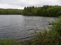 A walk with Lance on trails around the reservoir.<br />May 19, 2014 - Millvale Reservoir, Haverhill, Massachusetts.
