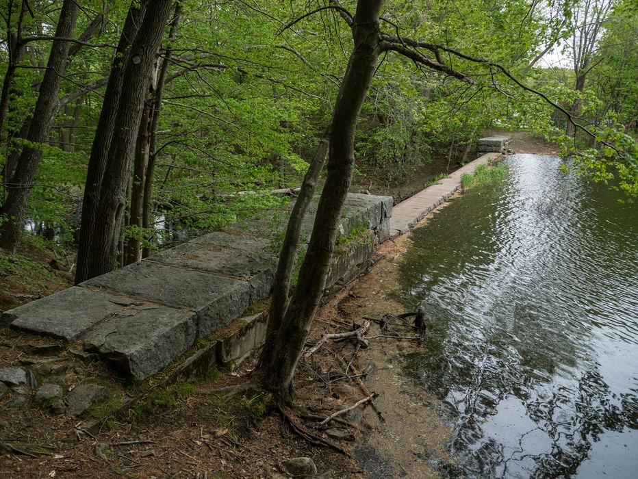 The dam forming the reservoir.<br />A walk with Lance on trails around the reservoir.<br />May 19, 2014 - Millvale Reservoir, Haverhill, Massachusetts.