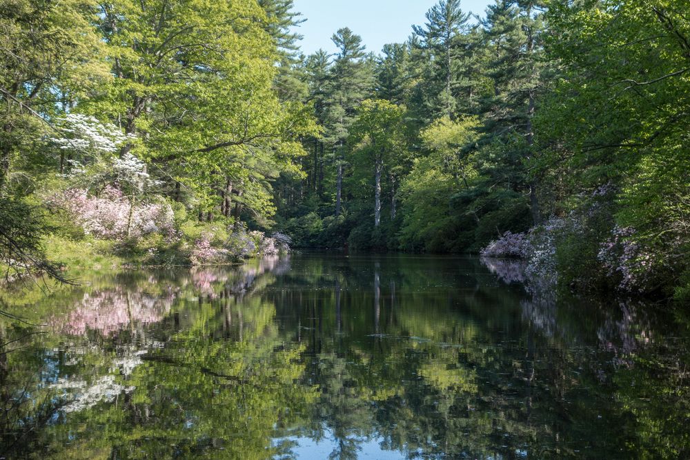 A walk in the park with Joyce.<br />May 25, 2014 - Maudslay State Park, Newburyport, Massachusetts.