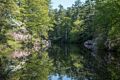 A walk in the park with Joyce.<br />May 25, 2014 - Maudslay State Park, Newburyport, Massachusetts.