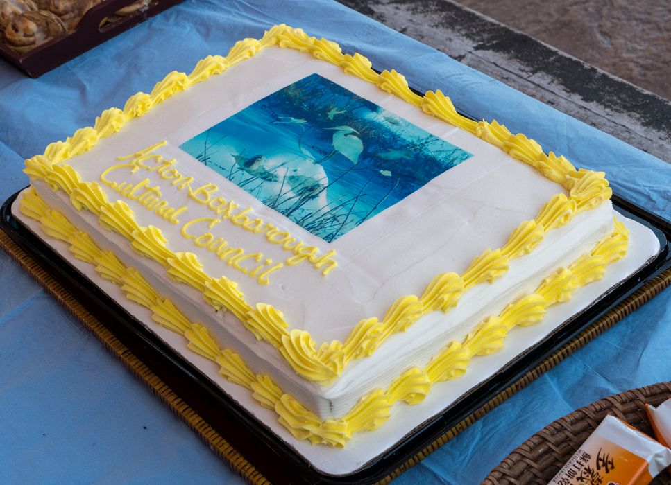 A cake for the occasion.<br />June 1, 2014 - Nara Park, Acton, Massachusetts.