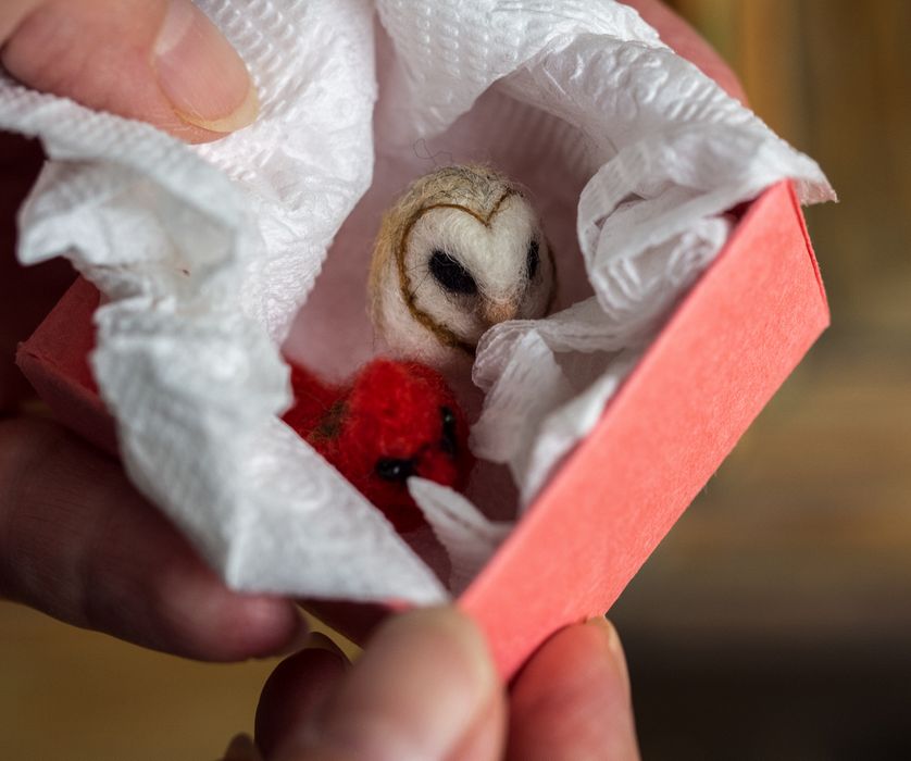 Felted tiny cardinal and owl, gifts from Melody for Marie and Joyce.<br />June 6, 2014 - Merrimac, Massachusetts.