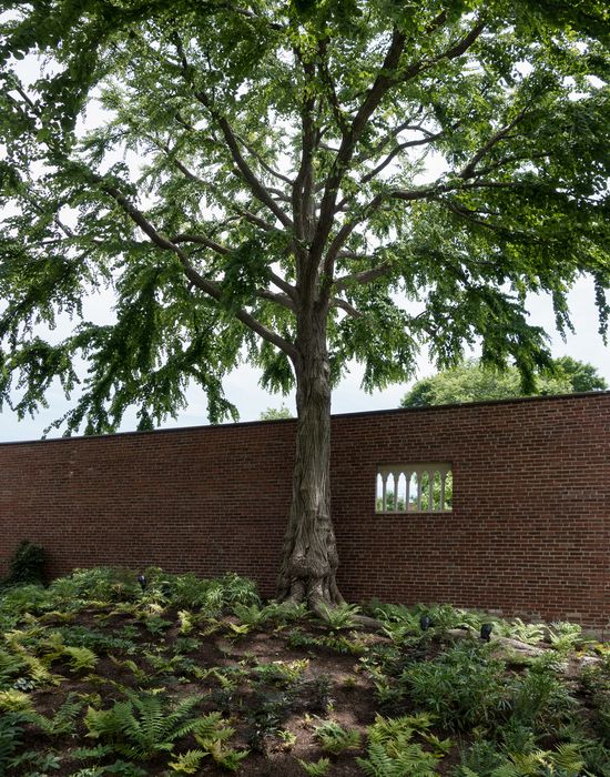 In the Monk's Garden.<br />June 8, 2014 - Isabella Stewart Gardner Museum, Boston, Massachusetts.