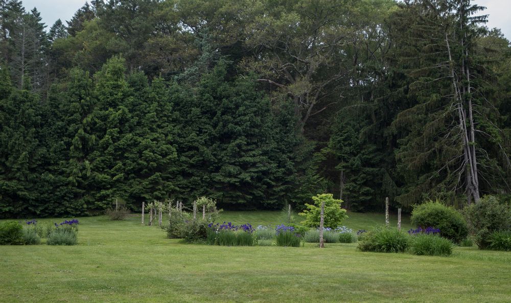 A walk with Lance.<br />June 10, 2014 - Maudslay State Park, Newburyport, Massachusetts.