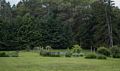 A walk with Lance.<br />June 10, 2014 - Maudslay State Park, Newburyport, Massachusetts.