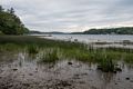 Low tide on the Merrimack River.<br />A walk with Lance.<br />June 10, 2014 - Maudslay State Park, Newburyport, Massachusetts.