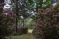 A walk with Lance.<br />June 10, 2014 - Maudslay State Park, Newburyport, Massachusetts.