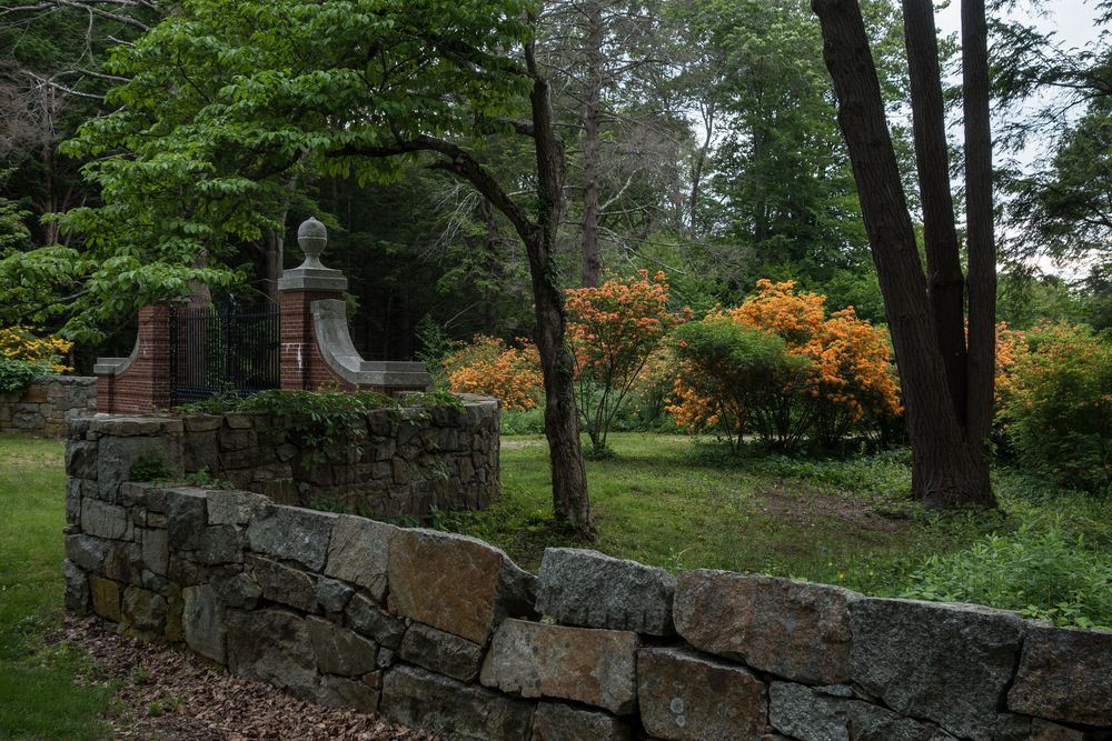A walk with Lance.<br />June 10, 2014 - Maudslay State Park, Newburyport, Massachusetts.