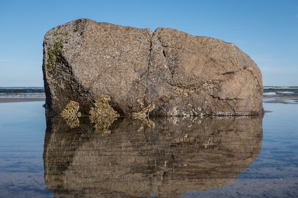 Same rock as in previous photo.<br />June 16, 2014 - Sandy Point State Reservation, Plum Island, Massachusetts.