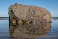 Same rock as in previous photo.<br />June 16, 2014 - Sandy Point State Reservation, Plum Island, Massachusetts.