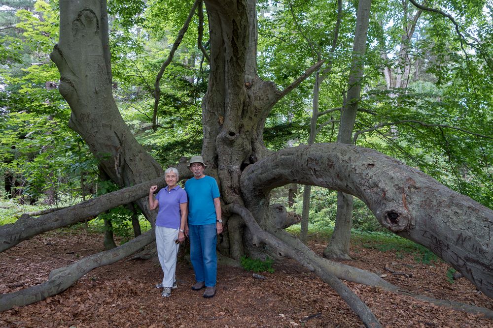 Baiba and Ronnie.<br />June 22, 2014 - Maudslay State Park, Newburyport, Massachusetts.