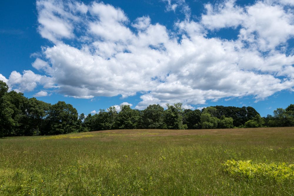 June 22, 2014 - Maudslay State Park, Newburyport, Massachusetts.