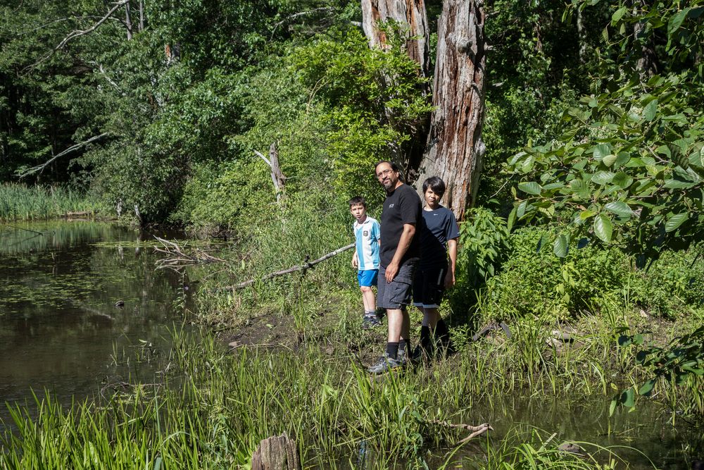 Marks, Eric, and Gujn.<br />In the woods at Cobbler Brook.<br />July 10, 2014 - Merrimac, Massachusetts.