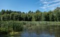 Dammed up Cobbler Brook.<br />July 10, 2014 - Merrimac, Massachusetts.