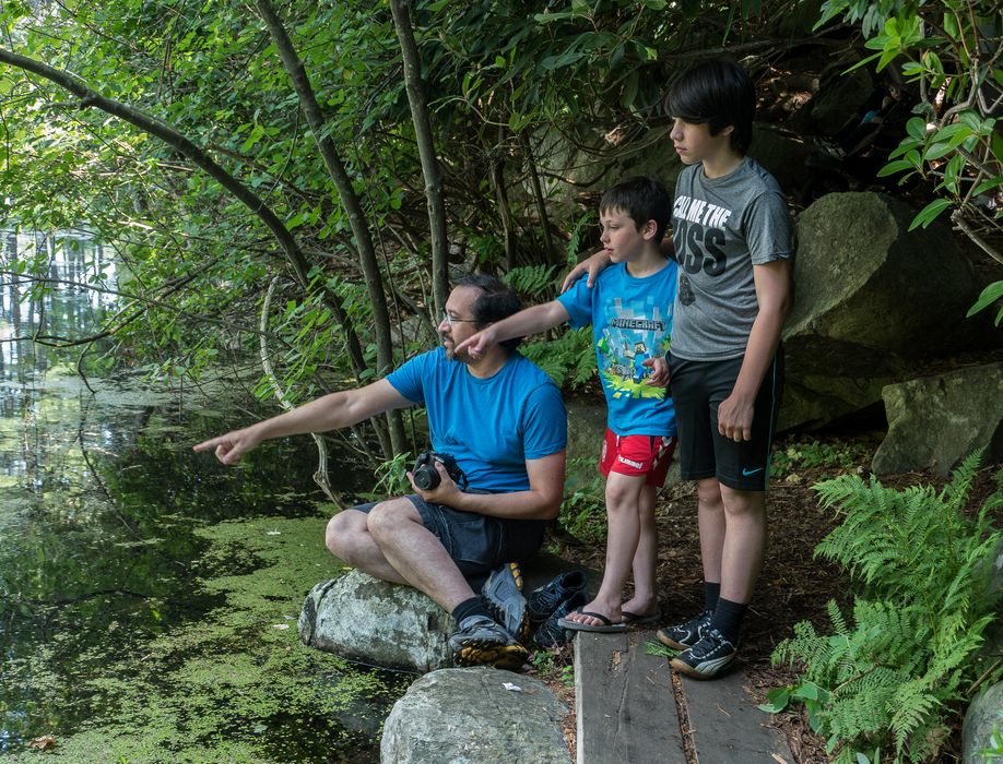Eric, Marks, and Gujn pointing at a snapping turtle in Rockery Pond.<br />July 12, 2014 - Audubon Ipswich River Wildlife Sanctuary, Topsfield, Massachusetts.