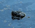 Head of a snapping turtle in Rockery Pond.<br />July 12, 2014 - Audubon Ipswich River Wildlife Sanctuary, Topsfield, Massachusetts.
