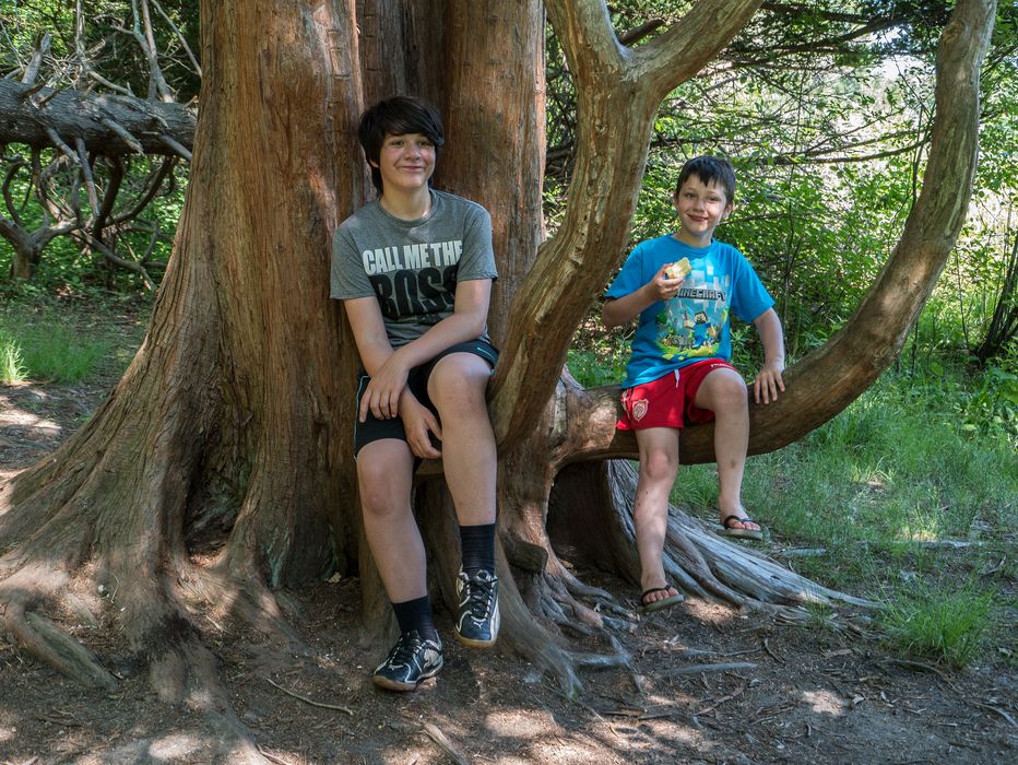 Gujn and Marks.<br />July 12, 2014 - Audubon Ipswich River Wildlife Sanctuary, Topsfield, Massachusetts.